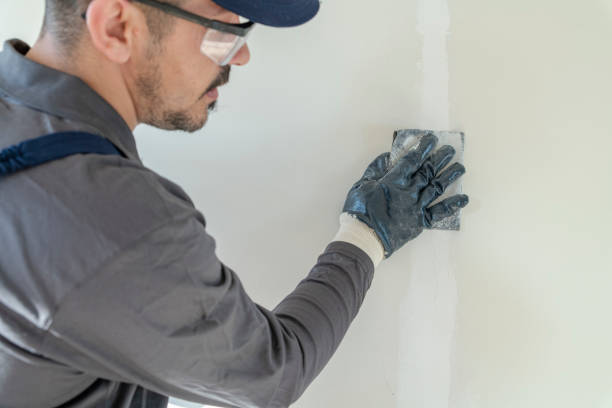 Best Drywall Sanding and Smoothing  in Harrisville, WV